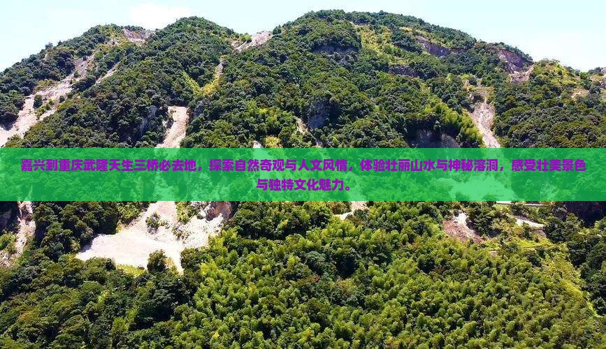嘉兴到重庆武隆天生三桥必去地