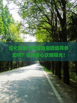 绥化到重庆武隆自由团