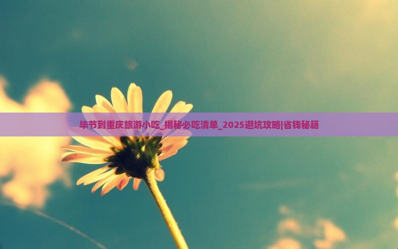 毕节到重庆旅游小吃