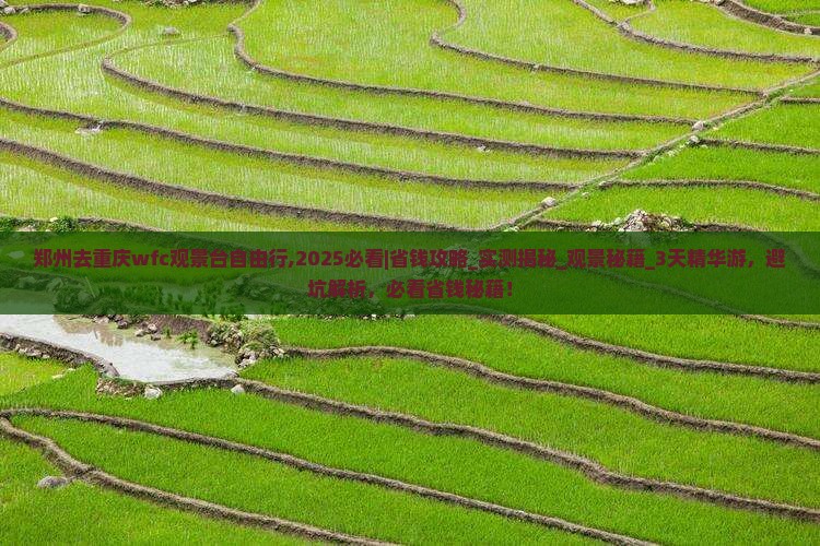 郑州去重庆wfc观景台自由行