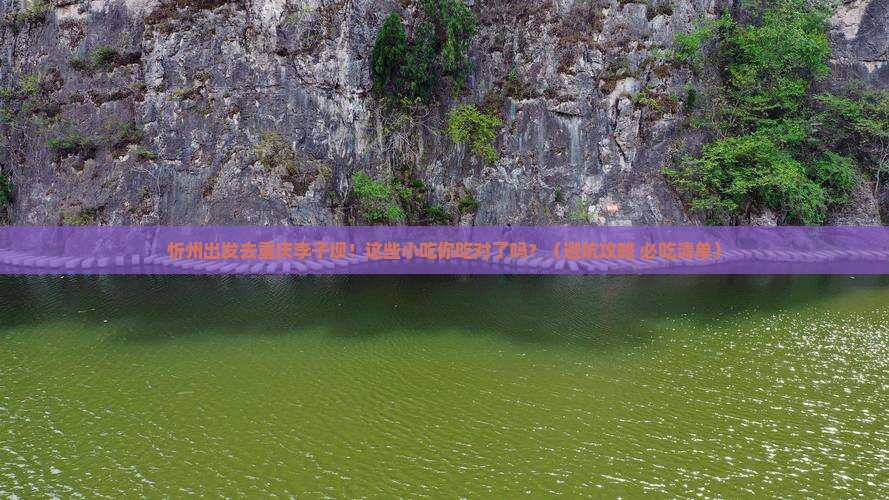 忻州到重庆李子坝轻轨站旅游小吃