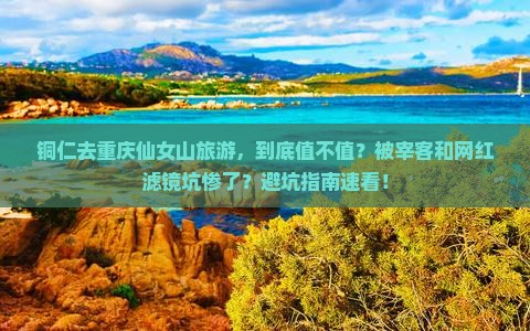 铜仁去重庆仙女山旅游