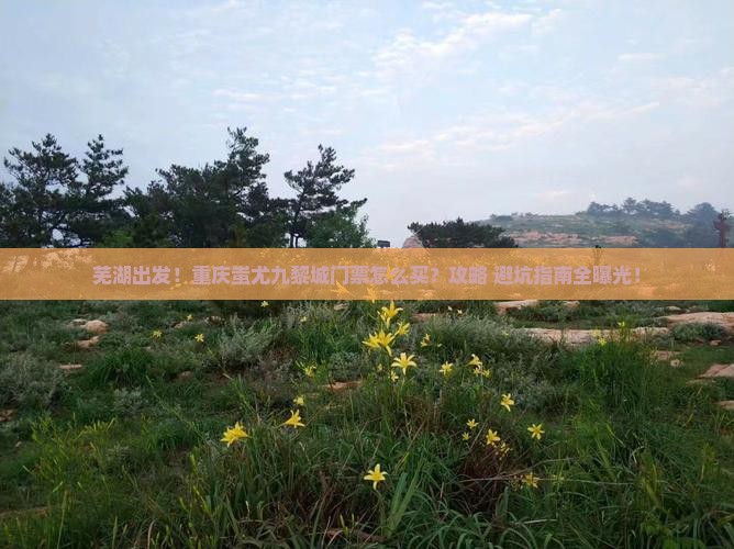 芜湖到重庆蚩尤九黎城门票