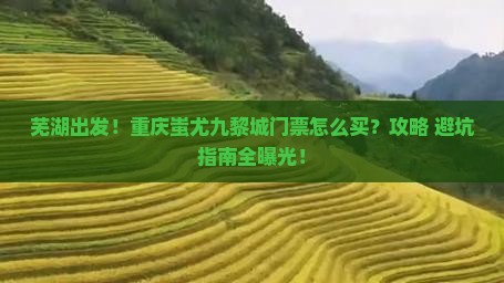 芜湖到重庆蚩尤九黎城门票