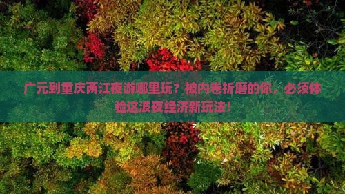 广元到重庆两江夜游哪里玩