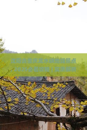 沈阳去重庆龙水峡地缝景点