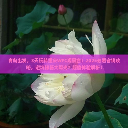 青岛去重庆wfc观景台三日游