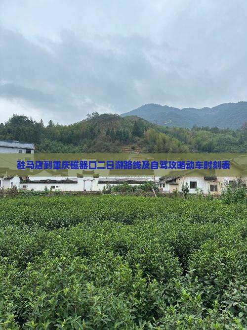 驻马店到重庆磁器口二日游