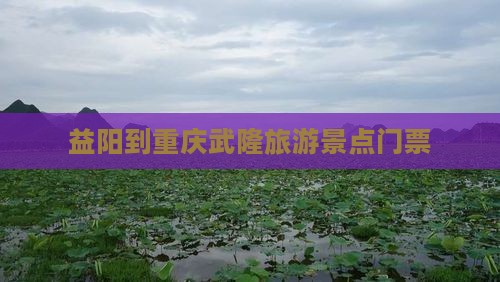 益阳到重庆武隆门票