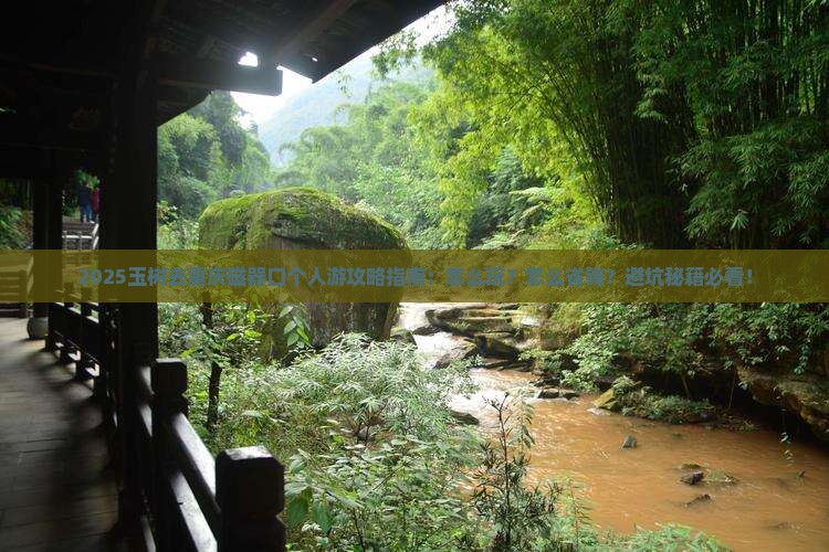 玉树去重庆磁器口个人游