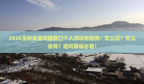 玉树去重庆磁器口个人游