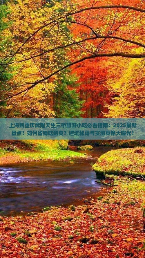 上海到重庆武隆天生三桥旅游小吃