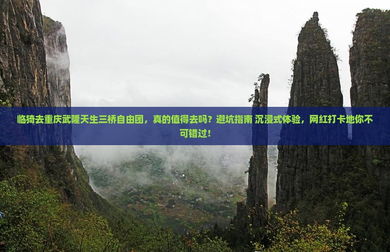 临猗去重庆武隆天生三桥自由团