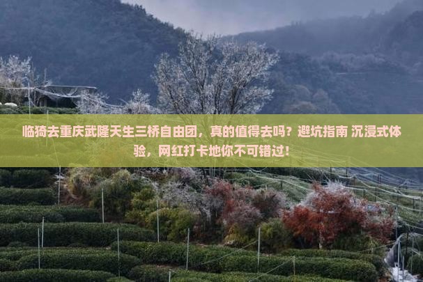 临猗去重庆武隆天生三桥自由团