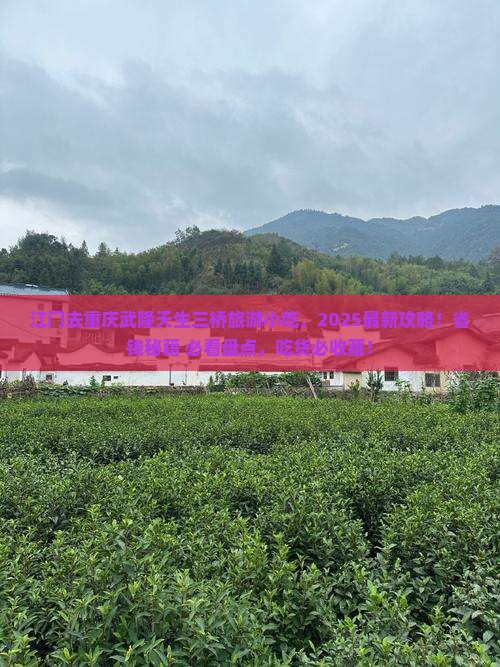 江门去重庆武隆天生三桥旅游小吃