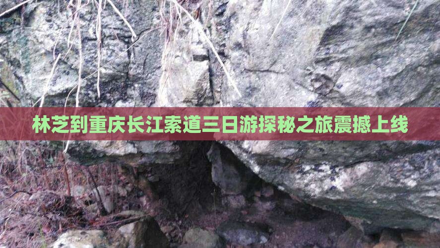 林芝到重庆长江索道三日游