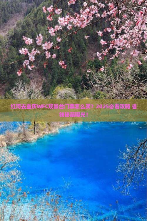 红河去重庆wfc观景台门票