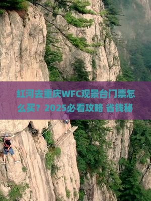 红河去重庆wfc观景台门票