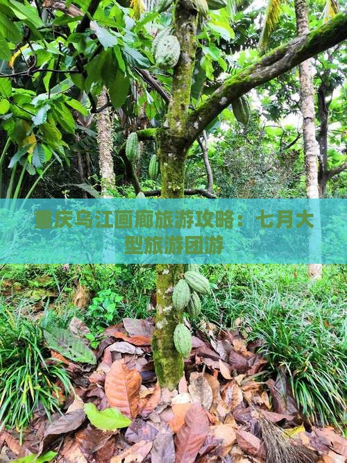 七月去重庆乌江画廊大型旅游团