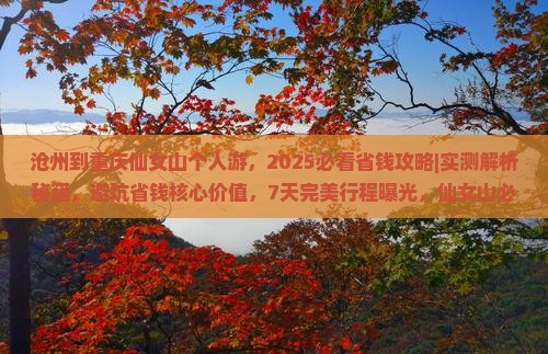 沧州到重庆仙女山个人游