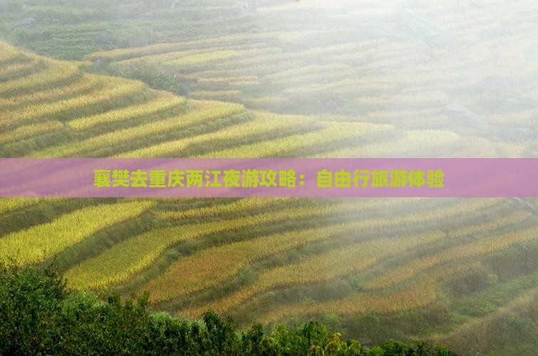 襄樊去重庆两江夜游自由行