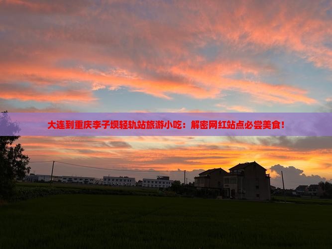 大连到重庆李子坝轻轨站旅游小吃