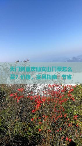 天门到重庆仙女山门票