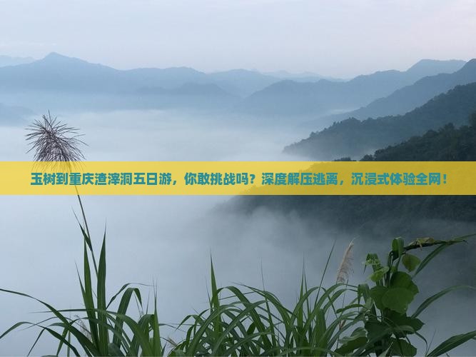 玉树到重庆渣滓洞五日游