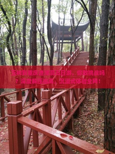 玉树到重庆渣滓洞五日游