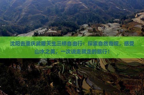 沈阳去重庆武隆天生三桥自由行