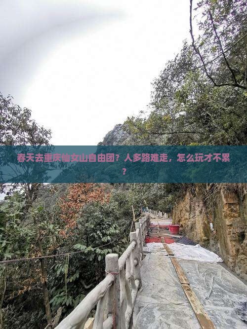 春天去重庆仙女山自由团