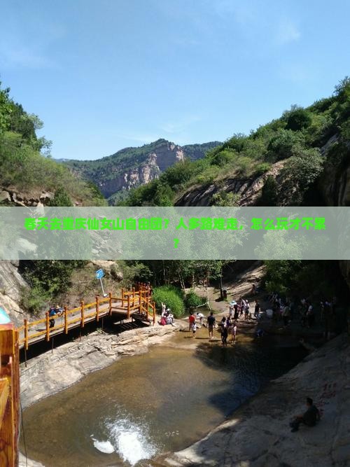 春天去重庆仙女山自由团