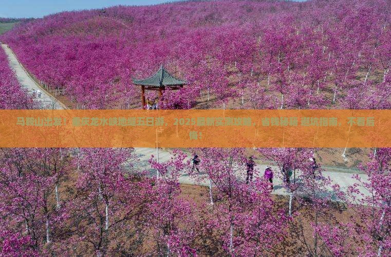 马鞍山去重庆龙水峡地缝五日游
