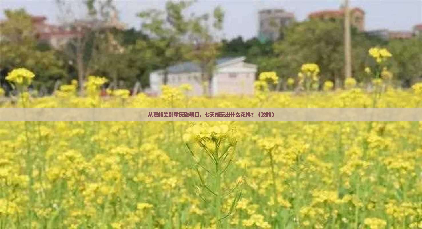 嘉峪关到重庆磁器口七日游