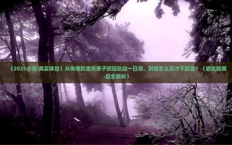 海南到重庆李子坝轻轨站一日