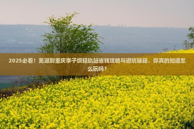 芜湖到重庆李子坝轻轨站攻略 芜湖到重庆李子坝轻轨站攻略