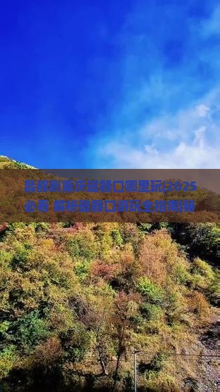 昌都到重庆磁器口哪里玩