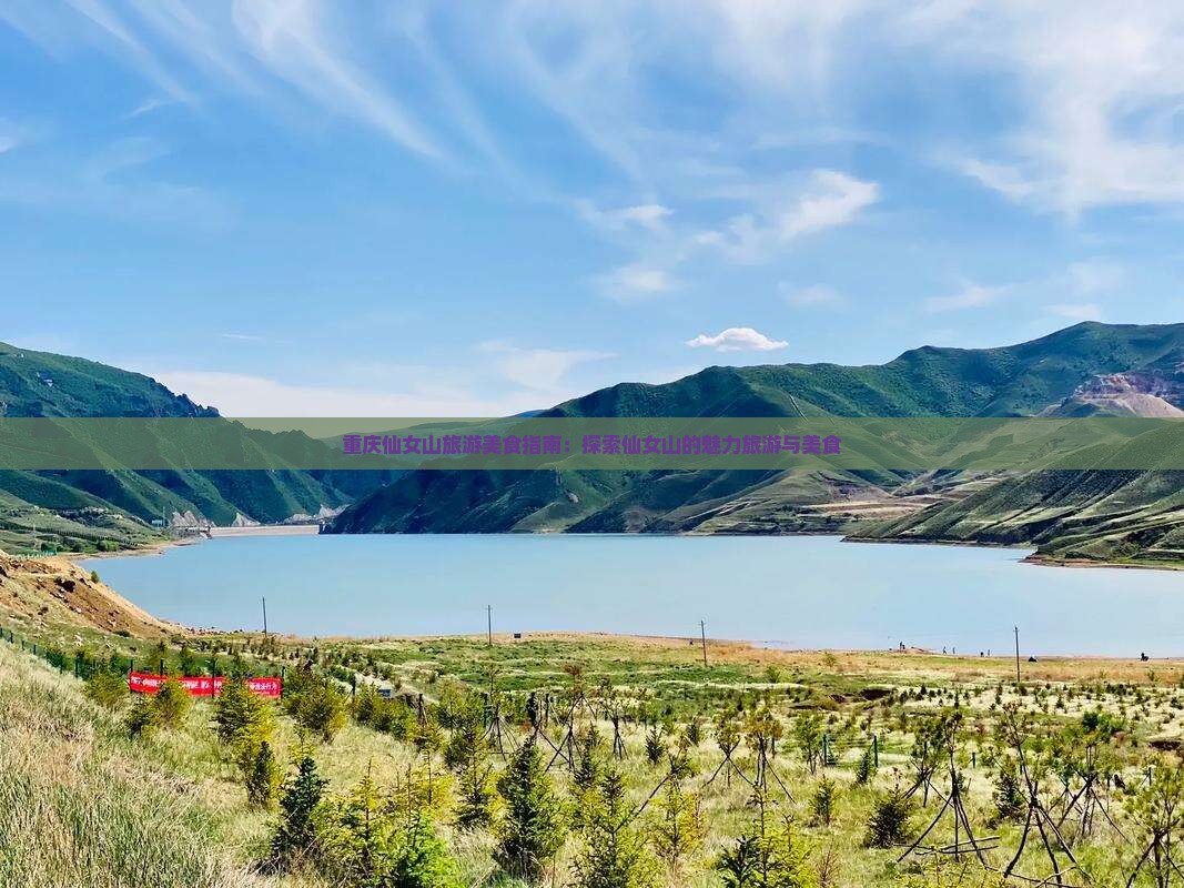 大同去重庆仙女山旅游小吃
