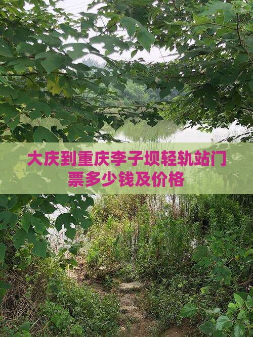 大庆到重庆李子坝轻轨站门票