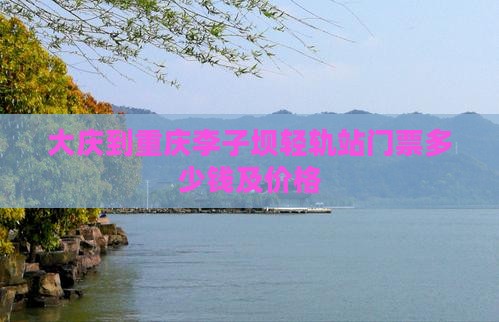 大庆到重庆李子坝轻轨站门票