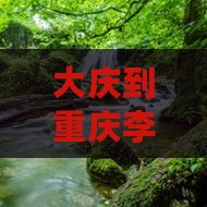 大庆到重庆李子坝轻轨站门票