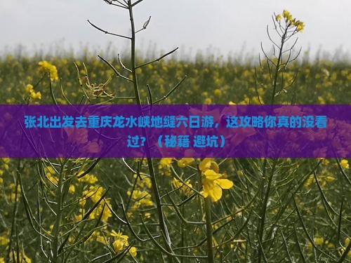 张北去重庆龙水峡地缝六日游