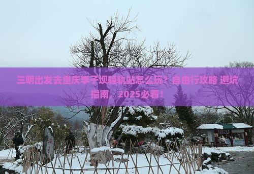 三明到重庆李子坝轻轨站自由行