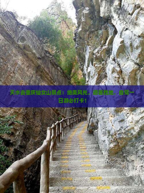 天水去重庆仙女山景点