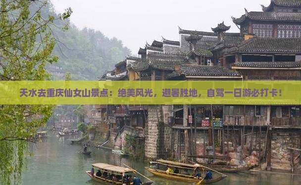 天水去重庆仙女山景点