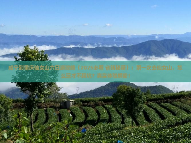 咸宁到重庆仙女山六日游