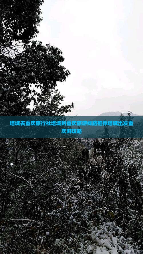 塔城去重庆旅行社