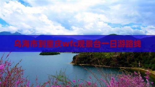乌海市到重庆wfc观景台一日