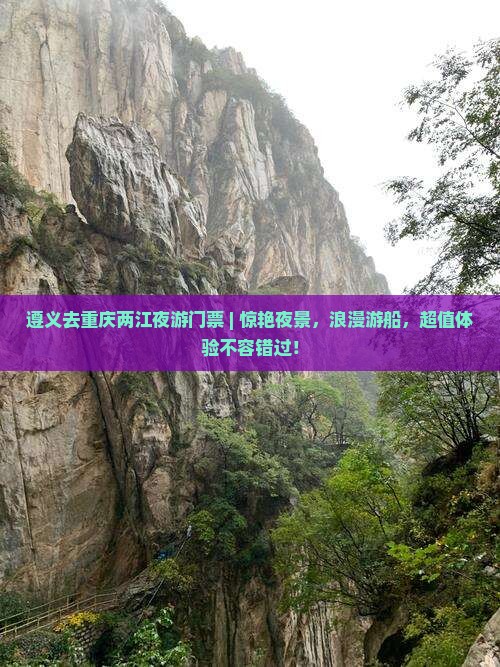 遵义去重庆两江夜游门票