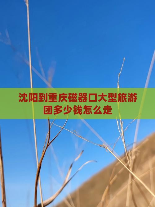 沈阳到重庆磁器口大型旅游团